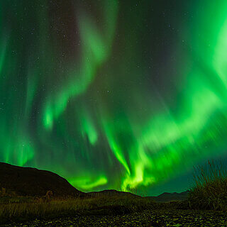 Storsteinnes - Northern lights